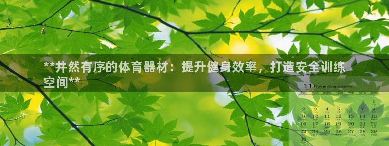 富联集团最新消息股价：**井然有序的体育器材：提升健