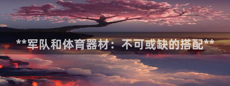 富联申购上市价格预测：**军队和体育器材：不可或缺的