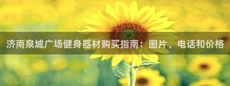 富联官网注册流程图片：济南泉城广场健身器材购买指南：