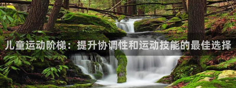 富联娱乐登录注册入口官网网址是什么：儿童运动阶梯：提