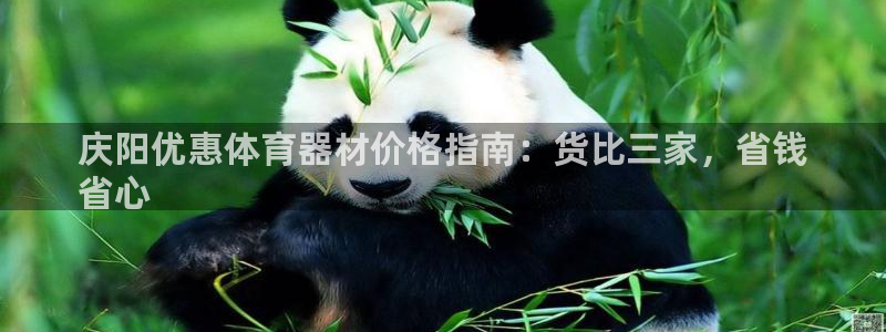 富联娱乐是骗局吗知乎：庆阳优惠体育器材价格指南：货比