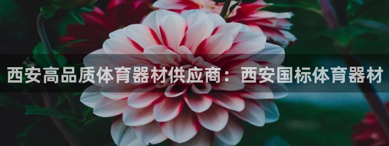 富联娱乐是什么时候开的股票：西安高品质体育器材供应商