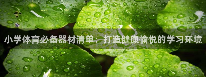 富联平台用户登陆不上：小学体育必备器材清单：打造健康