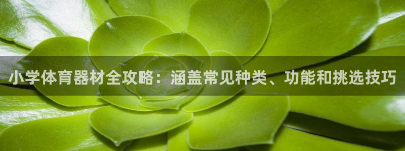 富联平台开户佣金多少：小学体育器材全攻略：涵盖常见种