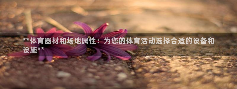 富联娱乐平台怎么样：**体育器材和场地属性：为您的体