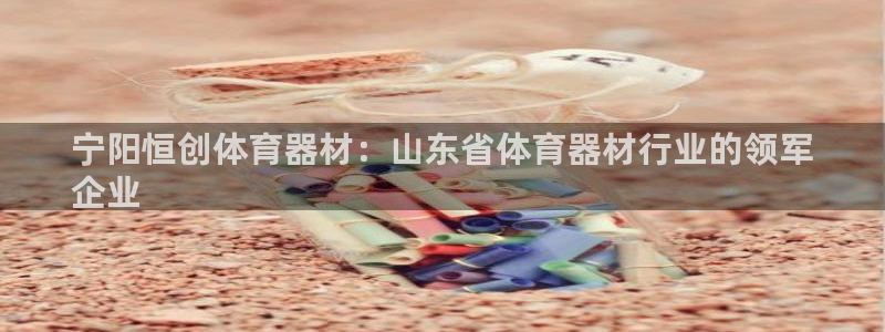 富联平台招商：宁阳恒创体育器材：山东省体育器材行业的