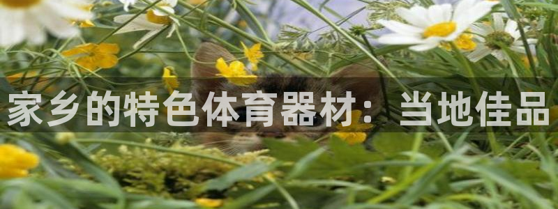 富联娱乐平台开户流程及时间：家乡的特色体育器材：当地