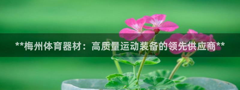 富联平台官网登录入口：**梅州体育器材：高质量运动装