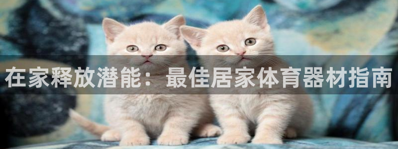 富联平台注册登录入口：在家释放潜能：最佳居家体育器材