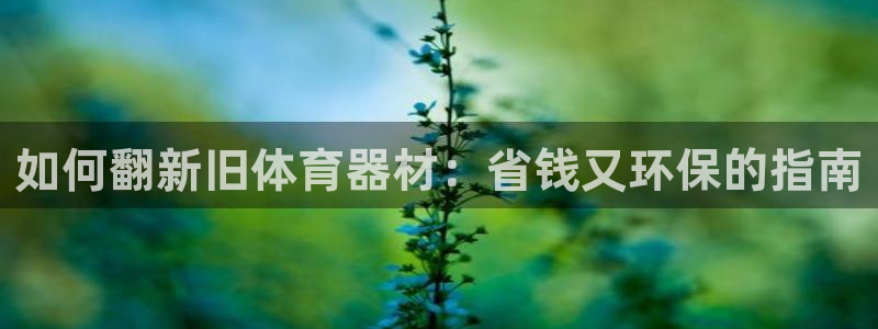 富联金融：如何翻新旧体育器材：省钱又环保的指南