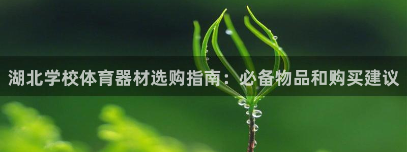 富联平台微信怎么注销：湖北学校体育器材选购指南：必备