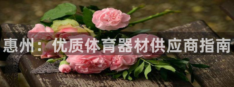 富联官网登录：惠州：优质体育器材供应商指南