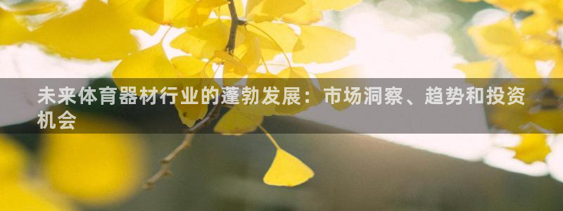富联平台项7O777：未来体育器材行业的蓬勃发展：市