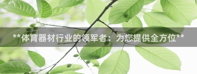 富联平台登录注册流程：**体育器材行业的领军者：为您