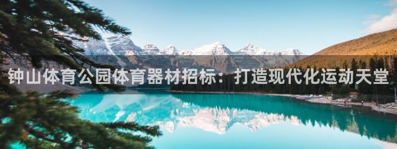 富联娱乐官方网站下载安装：钟山体育公园体育器材招标：
