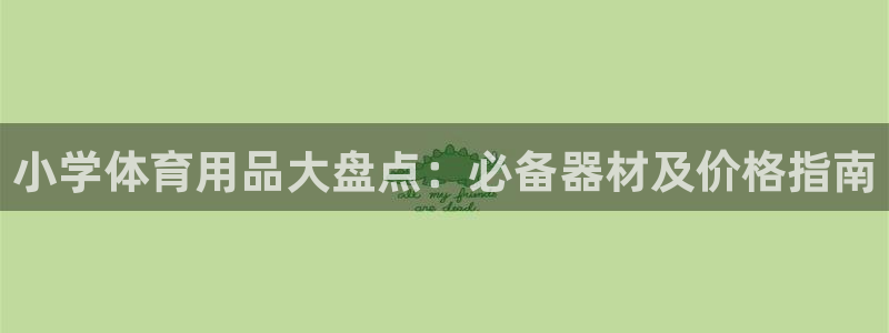 富联娱乐客户端app下载服务：小学体育用品大盘点：必