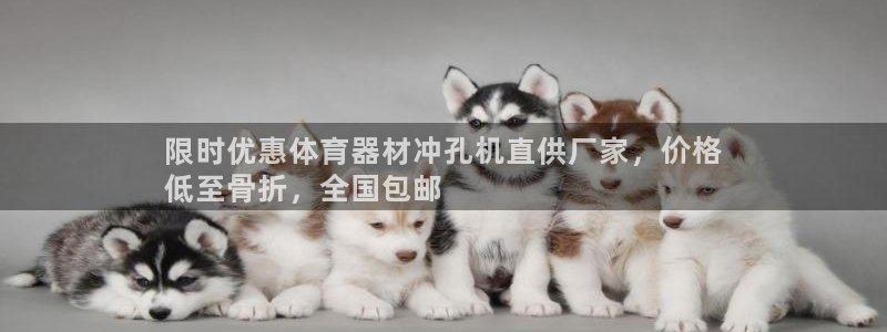 富联官网代理系列：限时优惠体育器材冲孔机直供厂家，价