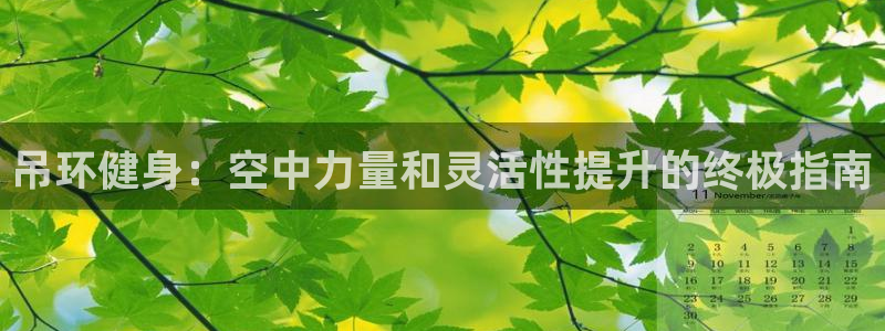 富联娱乐测速app：吊环健身：空中力量和灵活性提升的