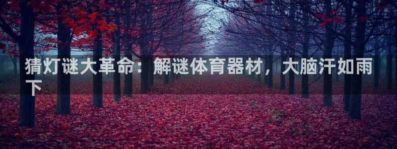 富联娱乐集7O777：猜灯谜大革命：解谜体育器材，大