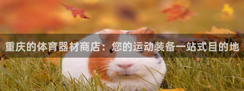 富联商城官网：重庆的体育器材商店：您的运动装备一站式