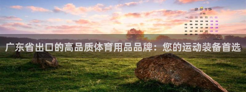 富联智能科技学院：广东省出口的高品质体育用品品牌：您