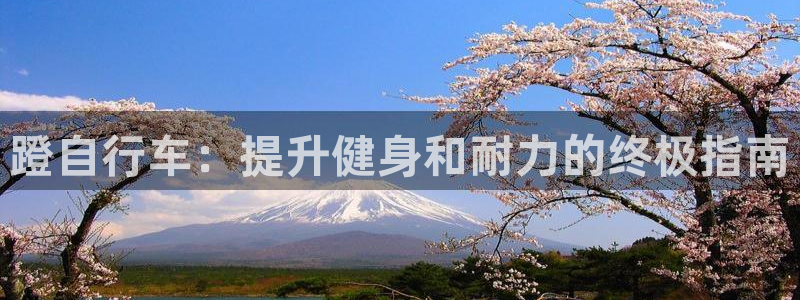 富联展示中心：蹬自行车：提升健身和耐力的终极指南