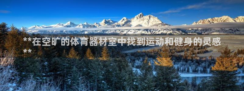 富联平台马 411O31 富联：**在空旷的体育器材
