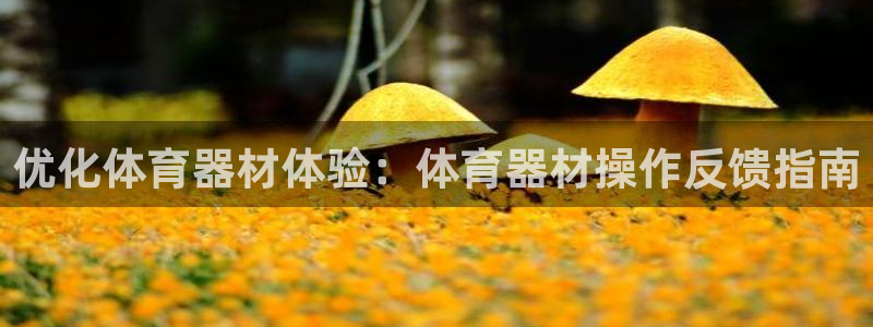 富联申购什么时候上市交易：优化体育器材体验：体育器材
