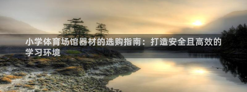 富联娱乐官方网站入口：小学体育场馆器材的选购指南：打