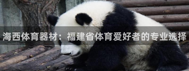 富联网是什么意思：海西体育器材：福建省体育爱好者的专