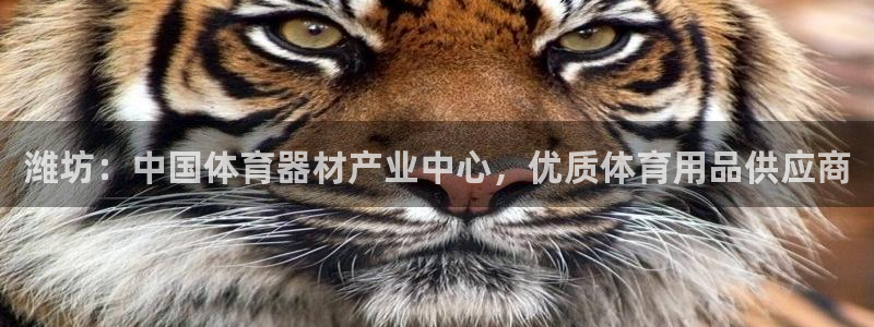富联娱乐平台能挣到钱吗现在：潍坊：中国体育器材产业中
