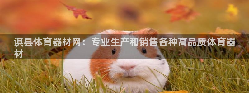 富联平台网站：淇县体育器材网：专业生产和销售各种高品