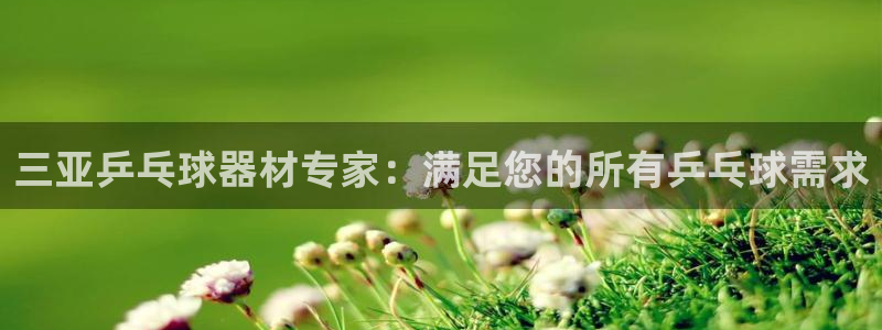 富联劳务：三亚乒乓球器材专家：满足您的所有乒乓球需求