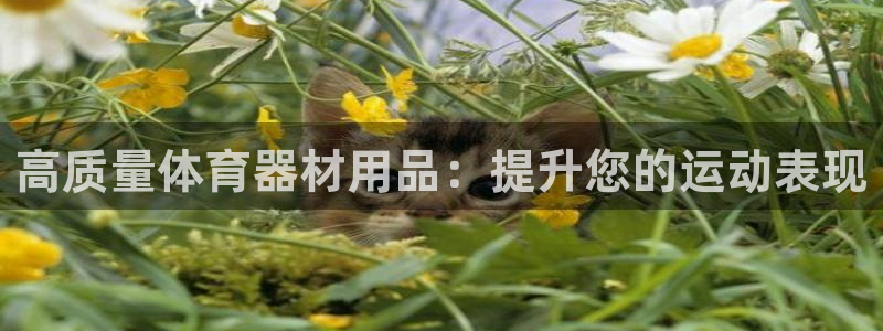 富联包装电话是多少：高质量体育器材用品：提升您的运动