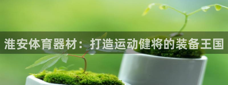 富联机器人产业研发基地：淮安体育器材：打造运动健将的