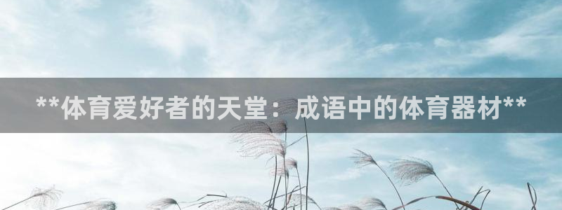 富联平台登录网址查询：**体育爱好者的天堂：成语中的