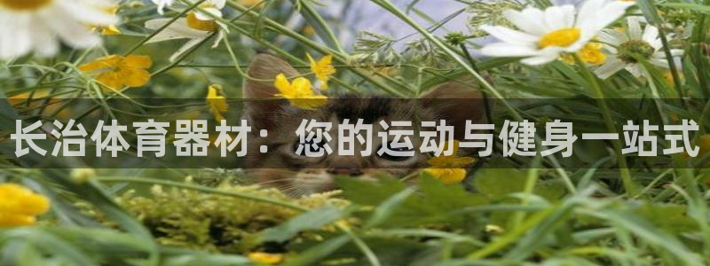 富联官方网站登录：长治体育器材：您的运动与健身一站式