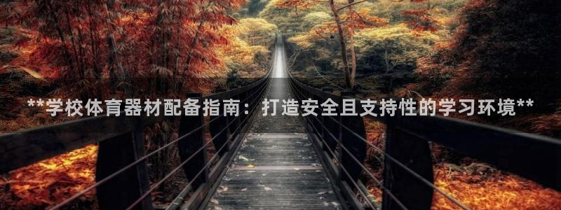 富联平台开户条件：**学校体育器材配备指南：打造安全