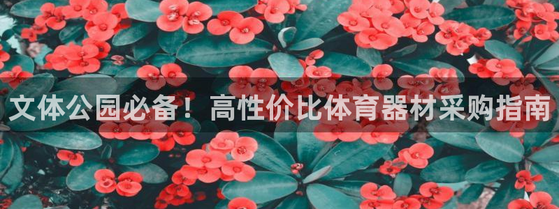富联官方网站入口查询电话：文体公园必备！高性价比体育
