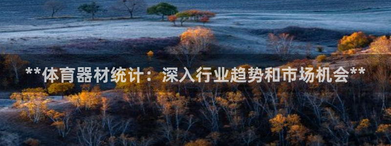 富联平台节7O777：**体育器材统计：深入行业趋势
