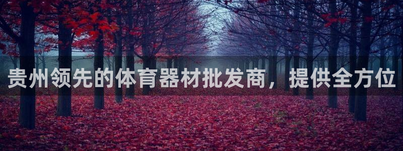 富联平台登录注册：贵州领先的体育器材批发商，提供全方