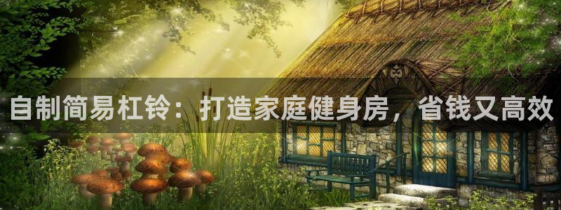 富联平台登录网址是什么：自制简易杠铃：打造家庭健身房