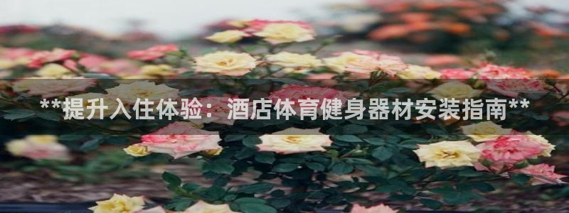 富联娱乐测速登录不上：**提升入住体验：酒店体育健身
