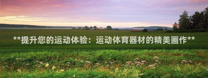 富联物业：**提升您的运动体验：运动体育器材的精美画