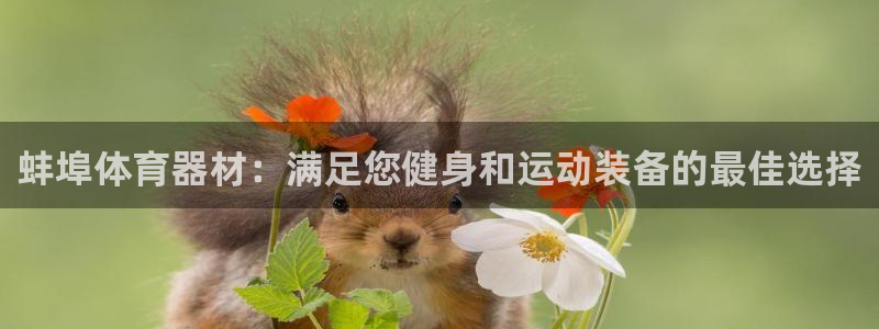 富联平台代理注册：蚌埠体育器材：满足您健身和运动装备