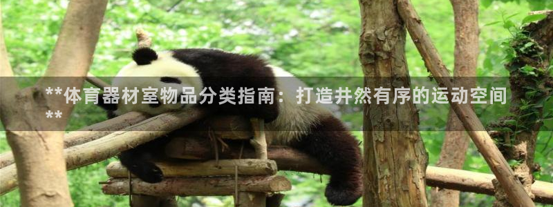 深圳富联智能制造产业创新中心：**体育器材室物品分类