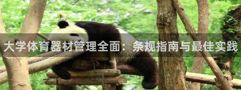 富联地产怎么样：大学体育器材管理全面：条规指南与最佳