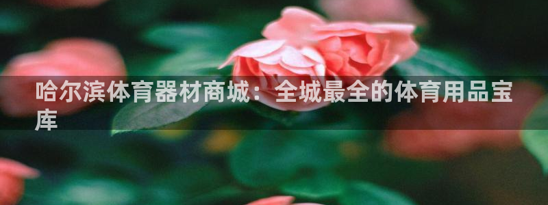 富联娱乐登录地址查询：哈尔滨体育器材商城：全城最全的