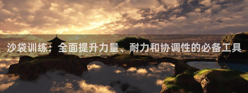 富联官网代理系列：沙袋训练：全面提升力量、耐力和协调