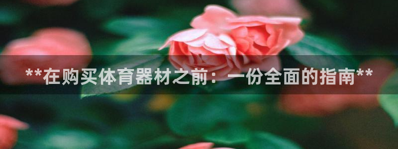 富联娱乐平台怎么样：**在购买体育器材之前：一份全面